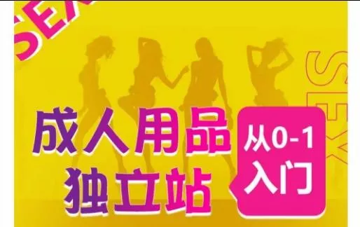 成人用品独立站从0-1入门,成品独立站运营全流程教学,七大好卖成品独立站推荐