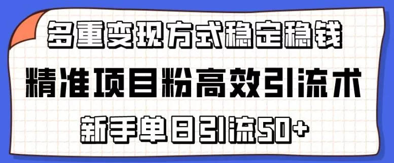 精准项目粉高效引流术,新手单日引流50+,多重变现方式稳定赚钱【揭秘】