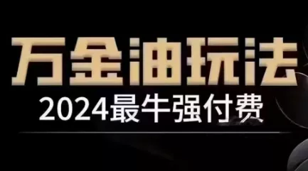 2024最牛强付费，万金油强付费玩法，干货满满，全程实操起飞(更新25年04月)