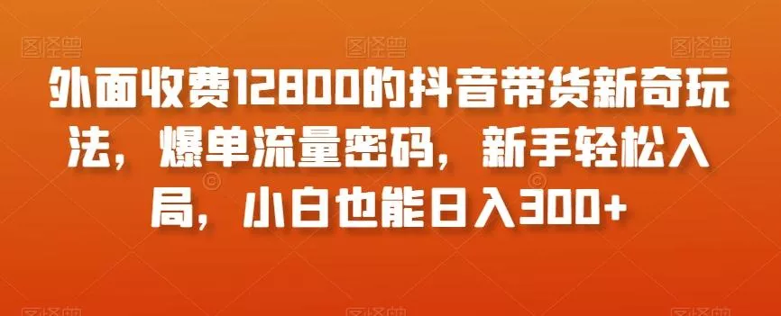 外面收费12800的抖音带货新奇玩法,爆单流量密码,新手轻松入局,小白也能日入300+【揭秘】
