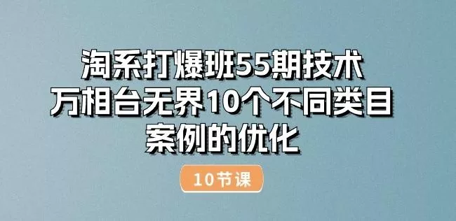 淘系打爆班55期技术:万相台无界10个不同类目案例的优化(10节)