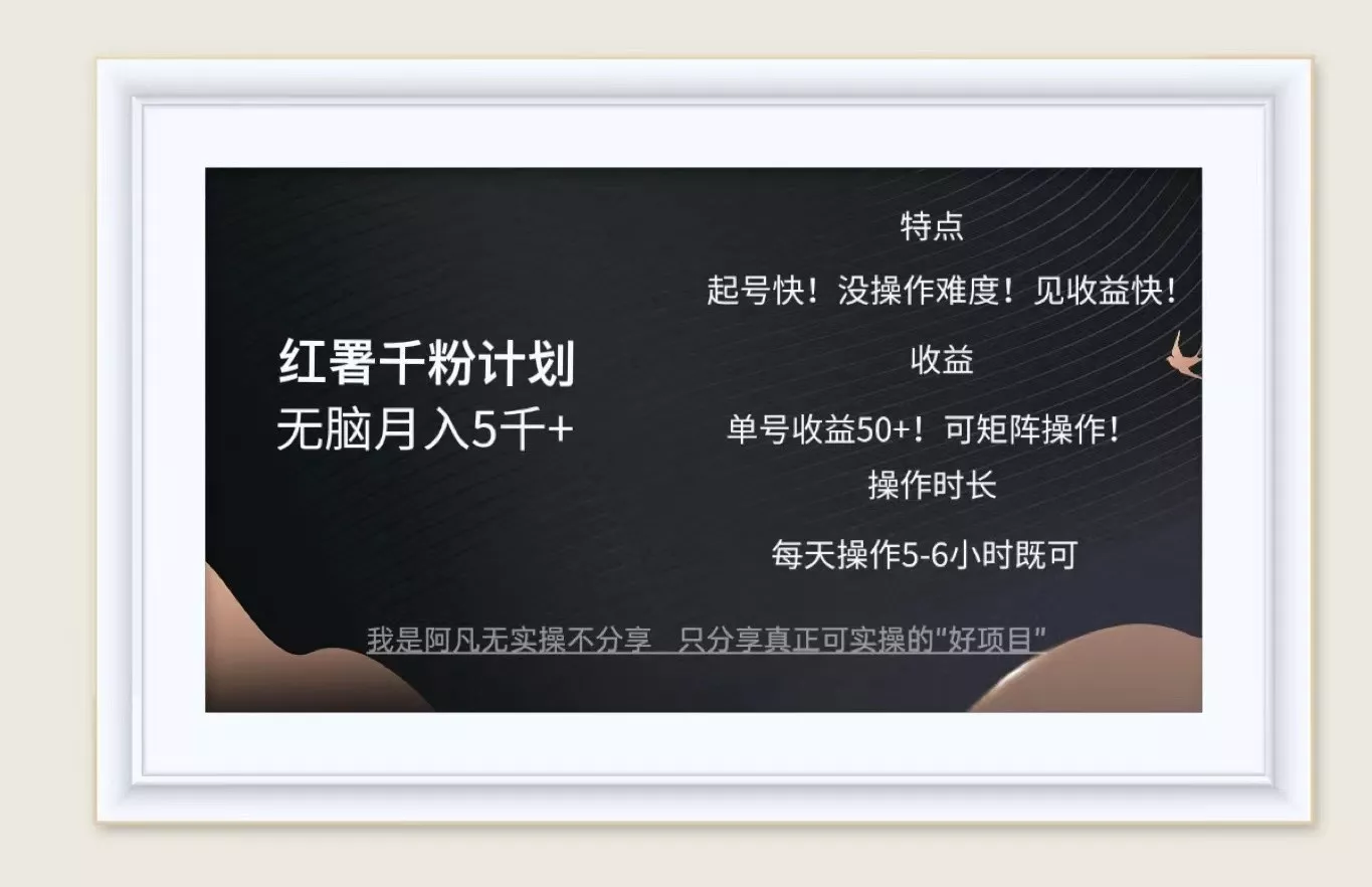 红薯千粉计划无脑月入5千+!既做既赚!