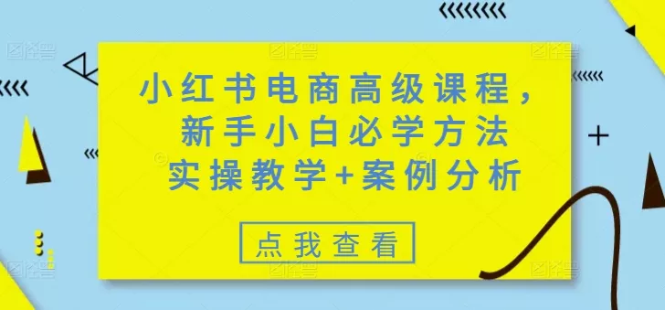 小红书电商高级课程,新手小白必学方法,实操教学+案例分析