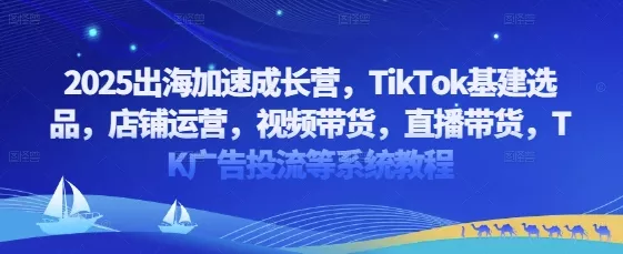 2025出海加速成长营,TikTok基建选品,店铺运营,视频带货,直播带货,TK广告投流等系统教程