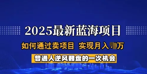 2025蓝海项目,普通人如何通过卖项目,实现月入过W,全过程【揭秘】