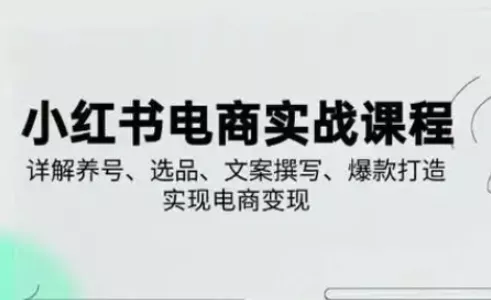 小红书从0-1实操课(2023-2025),详解养号、选品、文案撰写、爆款打造实现电商变现