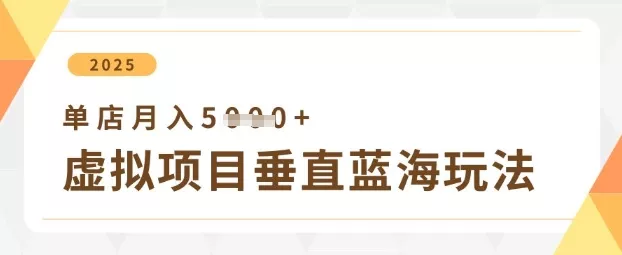 虚拟项目垂直玩法，实现单店月入5k+