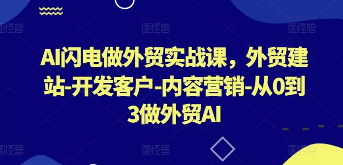 AI闪电做外贸实战课，​外贸建站-开发客户-内容营销-从0到3做外贸AI(更新)