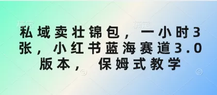 私域卖壮锦包,一小时3张,小红书蓝海赛道3.0版本, 保姆式教学