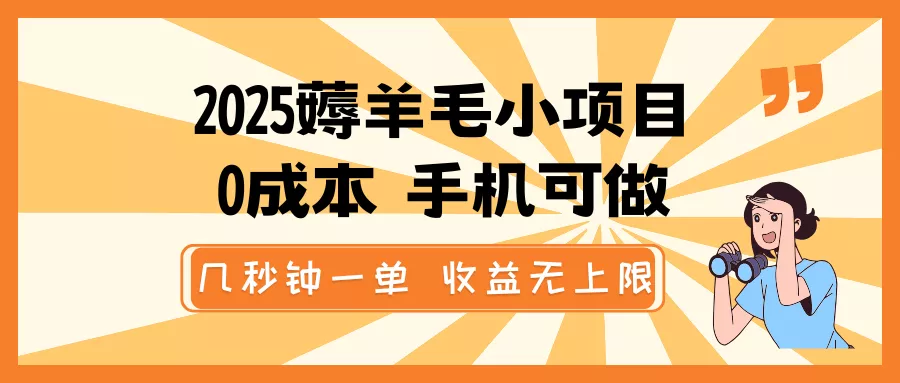 2025薅羊毛小项目,0成本 手机可做,几秒钟一单,收益无上限