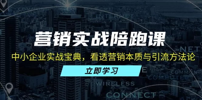 营销实战陪跑课:中小企业实战宝典,看透营销本质与引流方法论
