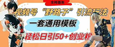 视频号“野路子”玩法,评论区疯狂截流,一套模板单日单号引流50+创业粉
