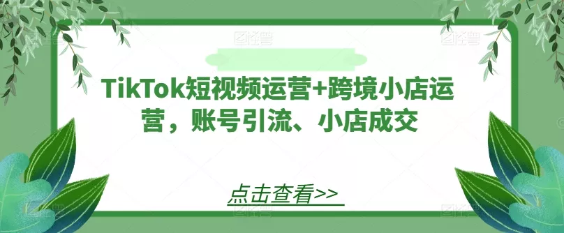 TikTok短视频运营+跨境小店运营,账号引流、小店成交