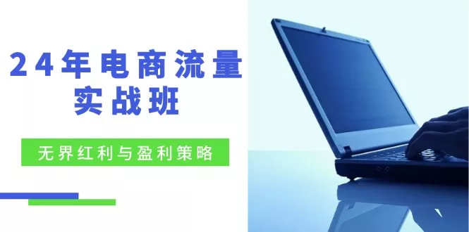 24年电商流量实战班：无界 红利与盈利策略，终极提升/关键词优化/精准...