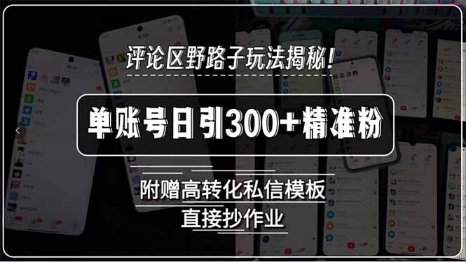 评论区野路子玩法揭秘!单账号日引300+精准粉,附赠高转化私信模板,直...