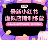 最新小红书虚拟店铺训练营，0成本适合新手见收益快，适合矩阵做