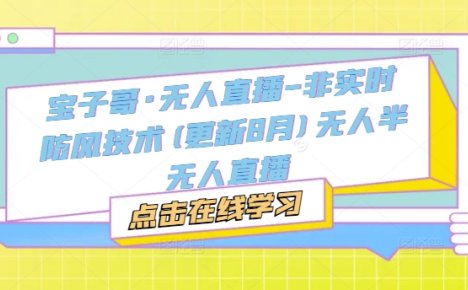 宝子哥·无人直播-非实时防风技术(更新25年12月)无人半无人直播