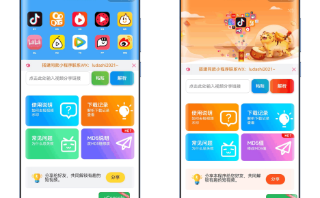最新去水印小程序系统 前端+后端全套源码 多套模版 免授权